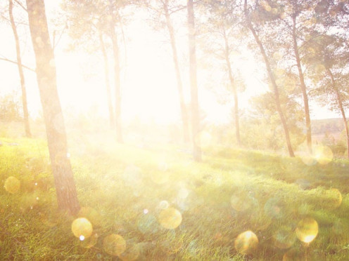 Terrain à bâtir à  Jacob-Bellecombette (73000),  pièces