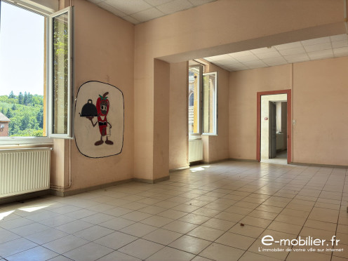 Maison à  Saint-Alban-les-Eaux (42370), 14 pièces