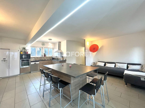 Maison à  Argentine (73220), 10 pièces