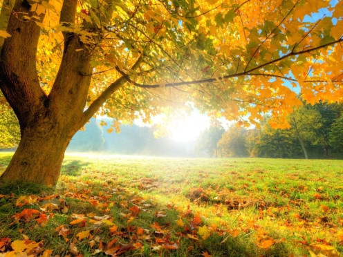 Terrain à bâtir à Les Mollettes (73800),  pièces