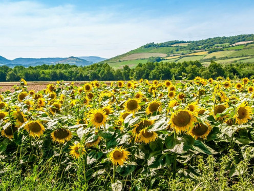 Terrain à bâtir à  Saint-Alban-Leysse (73230),  pièces
