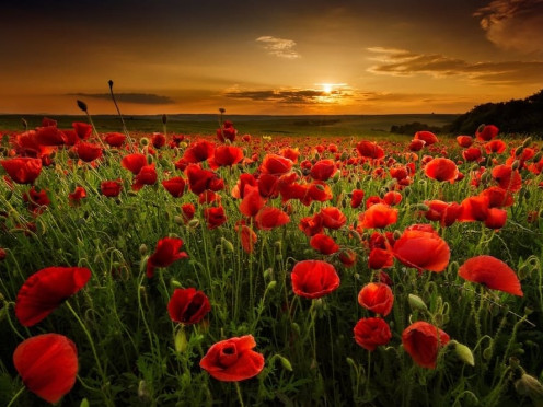 Terrain à bâtir à  Arbin (73800),  pièces