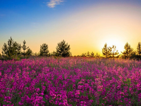 Terrain à bâtir à  Aix-les-Bains (73100),  pièces
