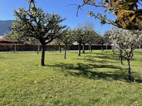 Maison neuve à  Saint-Jorioz (74410), 6 pièces
