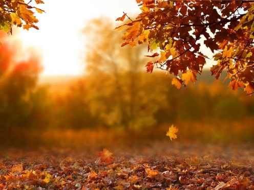 Terrain à bâtir à  Saint-Jean-d'Arvey (73230),  pièces