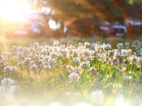 Terrain à bâtir à  Voglans (73420),  pièces