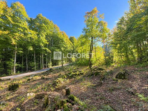 Terrain à Les Déserts (73230),  pièces