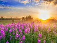 Terrain à bâtir à  Aix-les-Bains (73100),  pièces