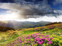 Terrain à bâtir à  Grésy-sur-Aix (73100),  pièces