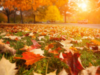 Terrain à bâtir à Les Mollettes (73800),  pièces