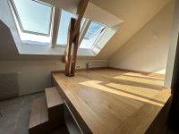 Appartement à  Brison-Saint-Innocent (73100), 2 pièces