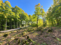 Terrain à Les Déserts (73230),  pièces